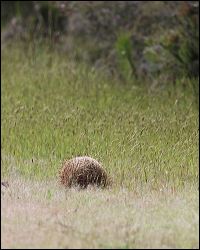 img_6781a