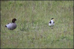 img_6791a
