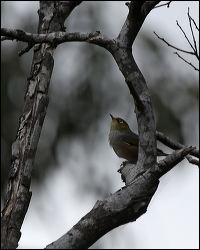 img_6838a