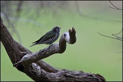 img_6867a
