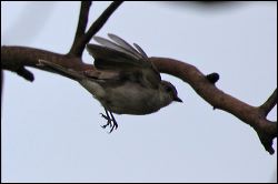 img_6881a