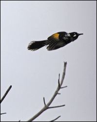 img_6883a