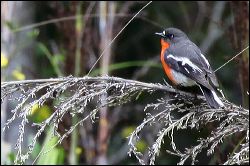 img_7049a