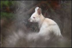 img_7073a