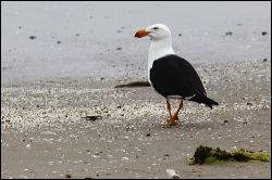 img_7119a