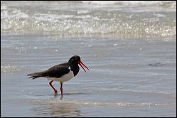 img_7159a