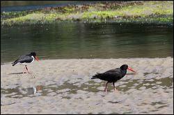 img_7201a