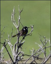 img_7224a
