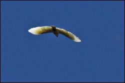 img_7282a