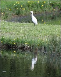 img_7321a