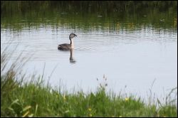 img_7347a