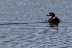 img_7377a