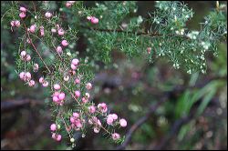 img_7622a