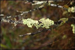 img_7627
