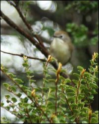 img_7630a