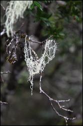 img_7634