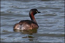 img_7717a