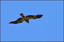 img_7728a