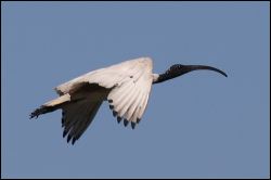 img_7760a