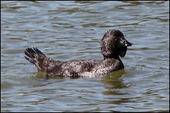 img_7773a