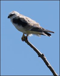 img_7799a
