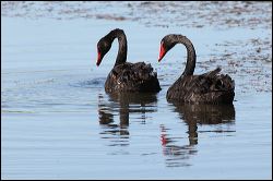 img_7807a