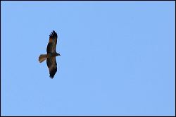 img_7819a