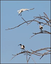 img_7841a