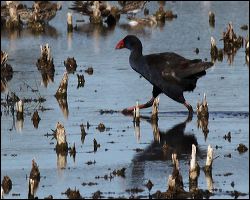 img_7875a