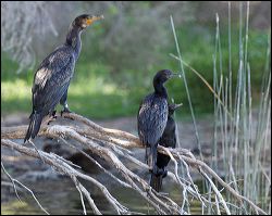 img_7881a