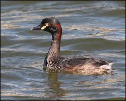 img_7886a