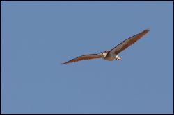 img_7888a