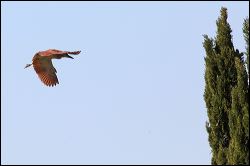 img_7892a