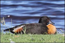 img_7899a