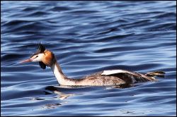img_7903a
