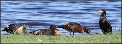 img_7911a