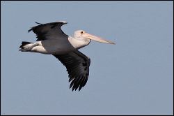img_7916a