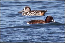 img_7927a