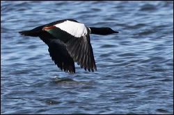 img_7932a