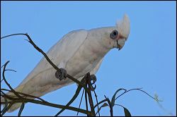 img_7979a