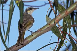 img_7989a