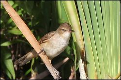 img_7992a