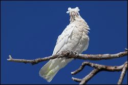 img_8004a