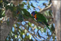 img_8032a