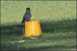 img_8043a