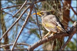 img_8046a