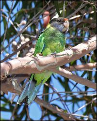 img_8074a