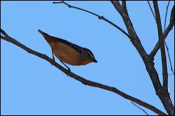 img_8092a