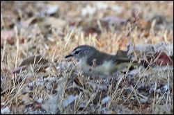 img_8097a