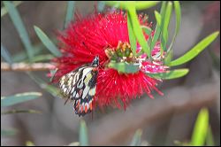 img_8106a